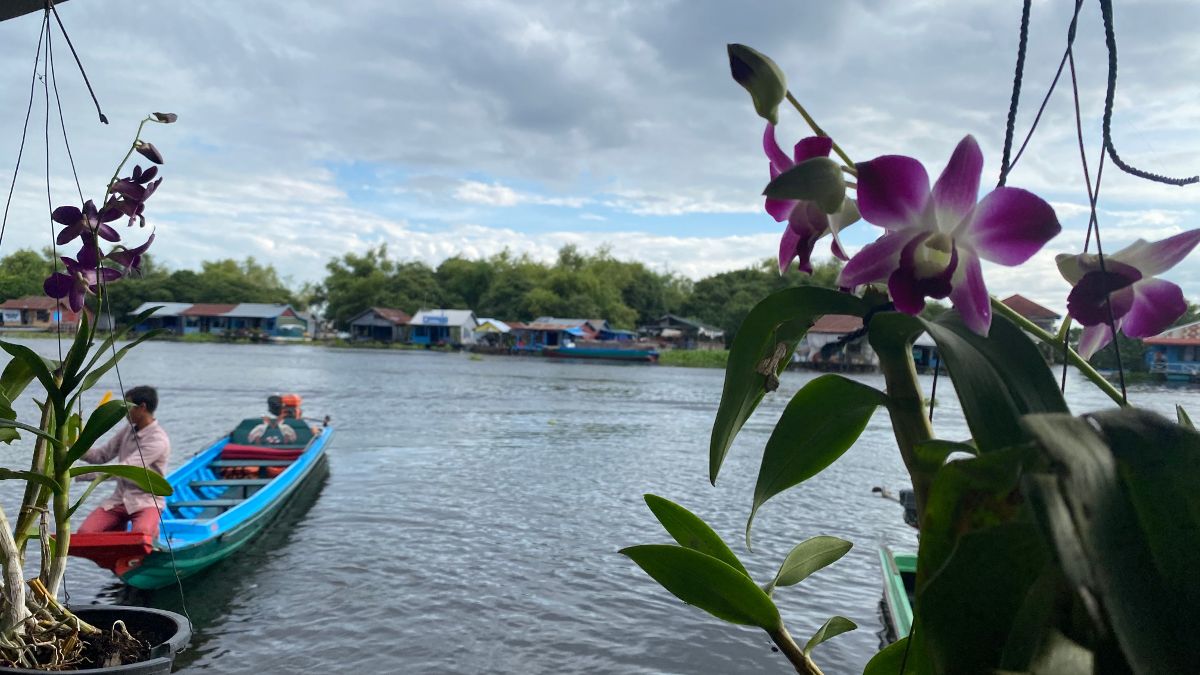 Plantas colgantes en macetas, detrás un barco y un pueblo flotante en el Tonle Sap en Camboya.