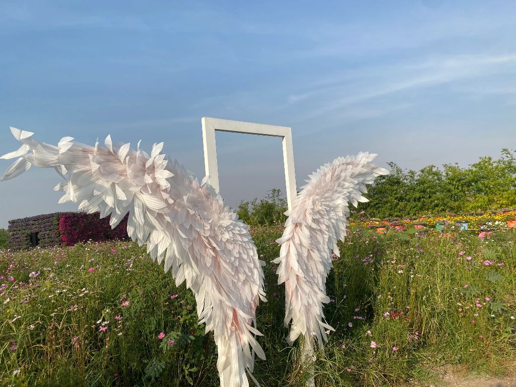 Frame with angel wings for photos