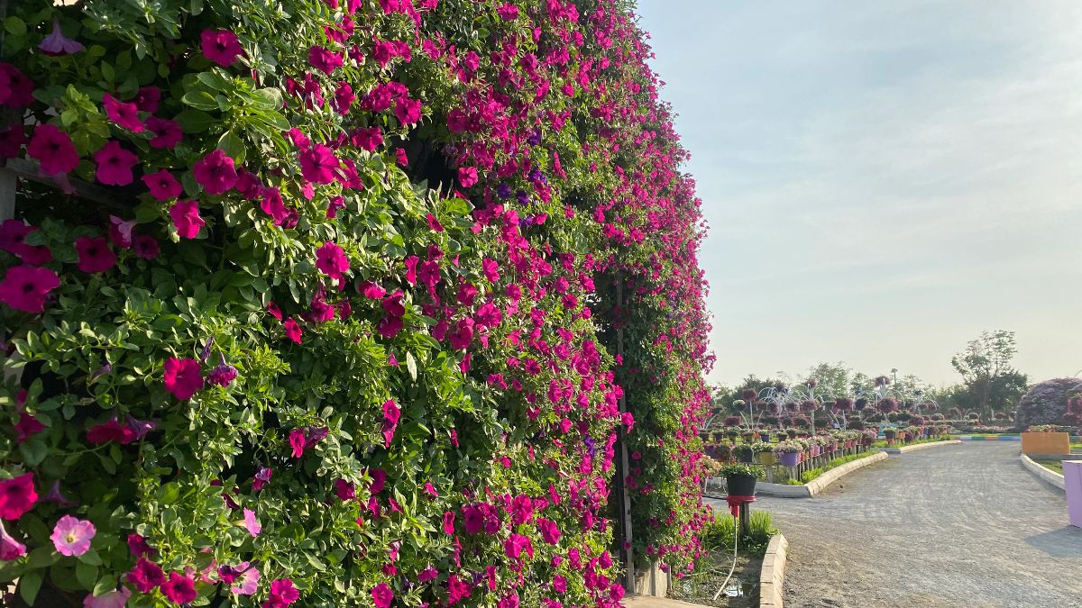 Vertically planted building